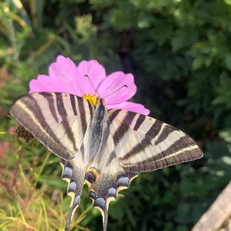 Casa Lerryn Nyaraló Sertã