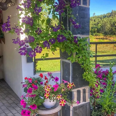 Casa Lerryn * Sertã