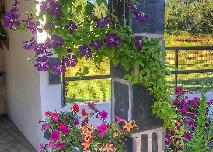 Casa Lerryn * Sertã